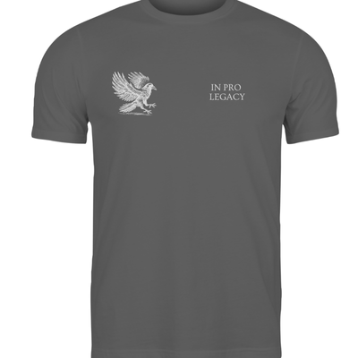 IPL Raven - Gray Cotton T-Shirt